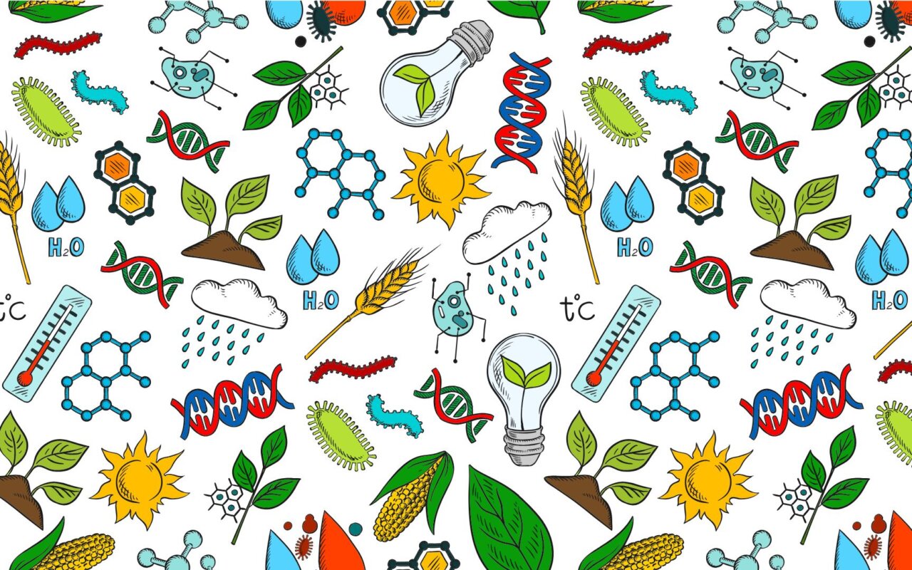 Approaches to tackling AMR: commercialization and potential impact