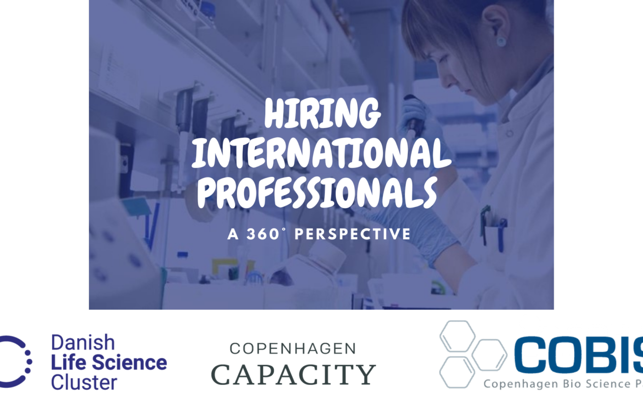 Hiring international professionals – a 360° perspective